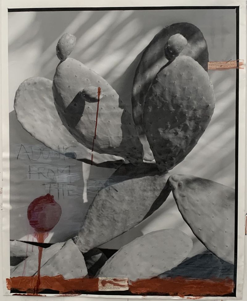 © Cheryl Newman - Image from the PRICK - Searching for Aphrodite photography project