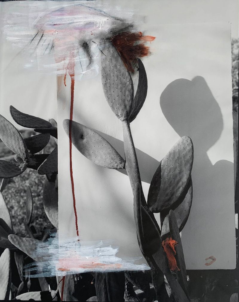 © Cheryl Newman - Image from the PRICK - Searching for Aphrodite photography project