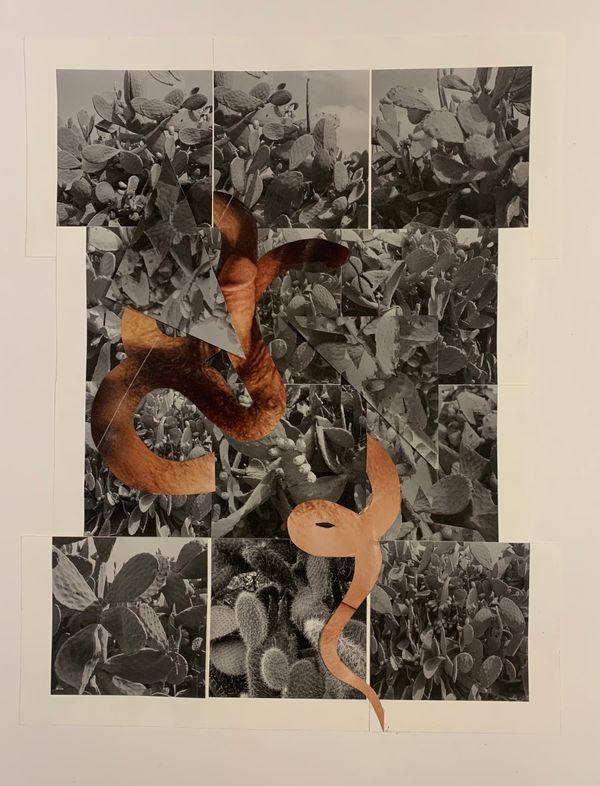 © Cheryl Newman - Image from the PRICK - Searching for Aphrodite photography project