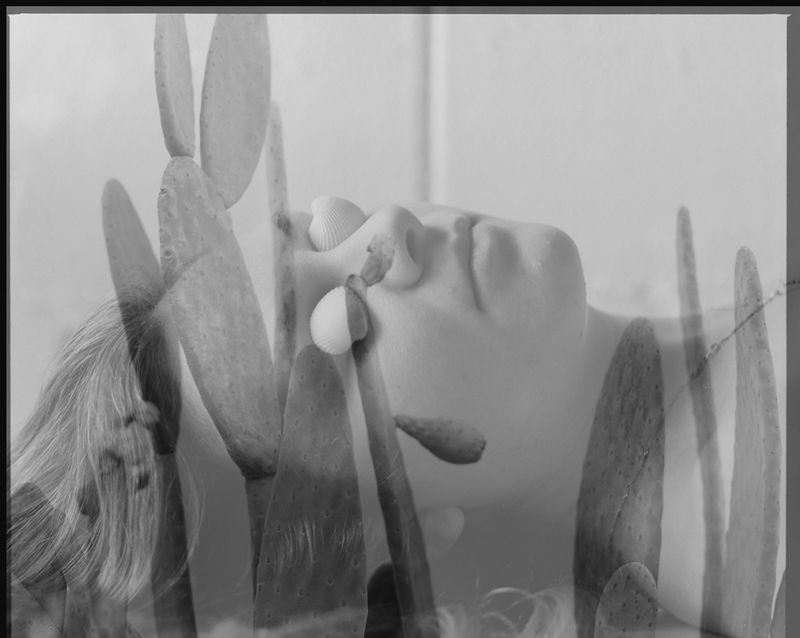 © Cheryl Newman - Image from the PRICK - Searching for Aphrodite photography project