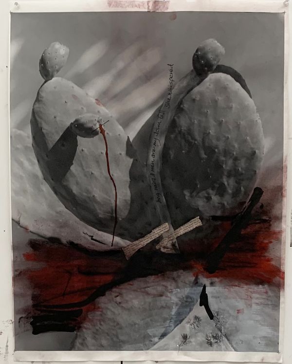 © Cheryl Newman - Image from the PRICK - Searching for Aphrodite photography project