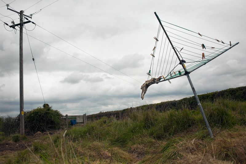 © Birte Kaufmann - Image from the The Travellers photography project