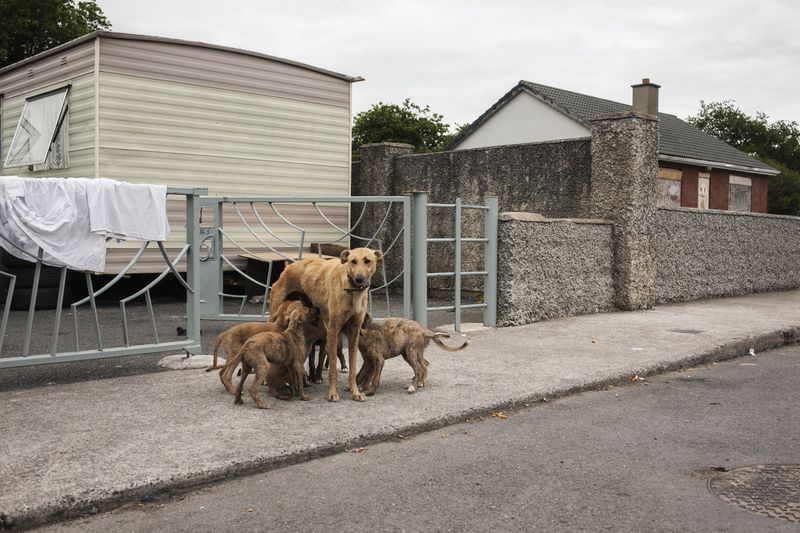 © Birte Kaufmann - Image from the The Travellers photography project