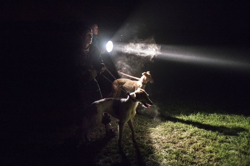 © Birte Kaufmann - Image from the The Travellers photography project