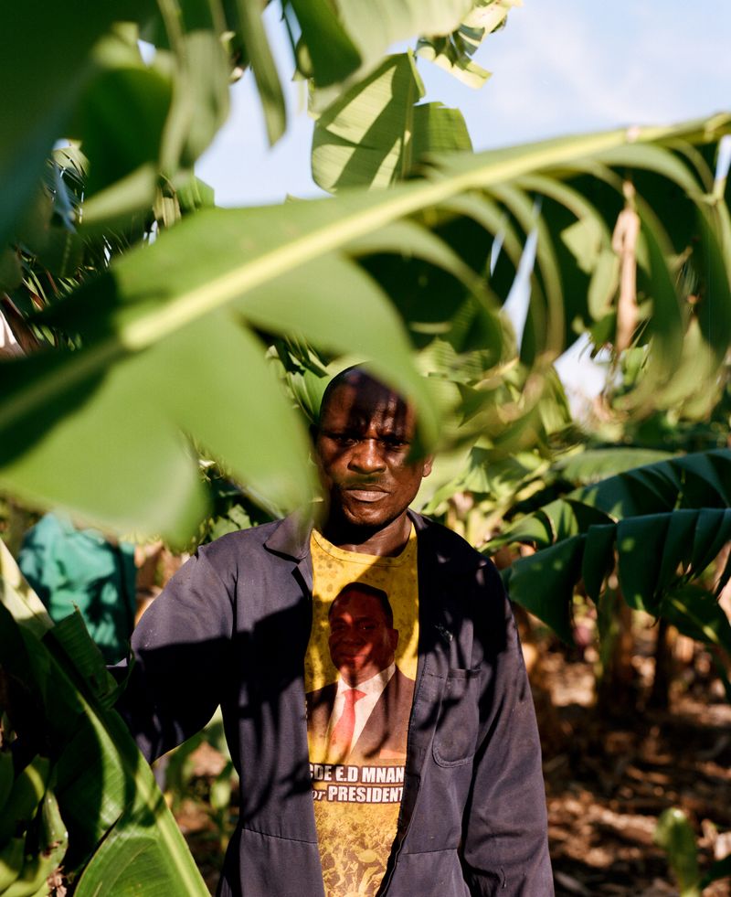 © Jono Terry - Worker at the Kariba banana plantation.
