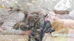 Gathering From What My Grandmothers Sowed