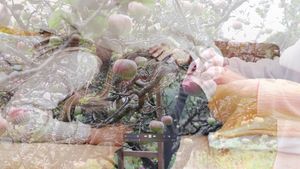 Gathering From What My Grandmothers Sowed