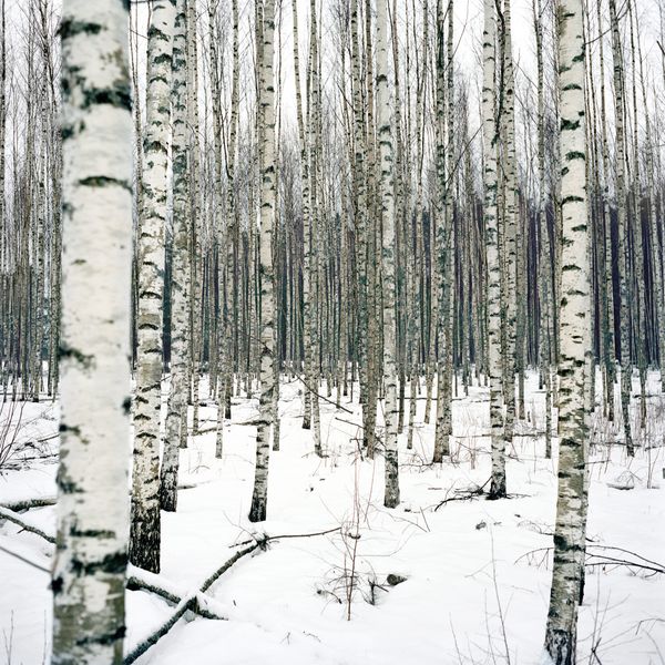 © Jérémie Jung - Image from the Setomaa, a Kingdom on the Edge photography project