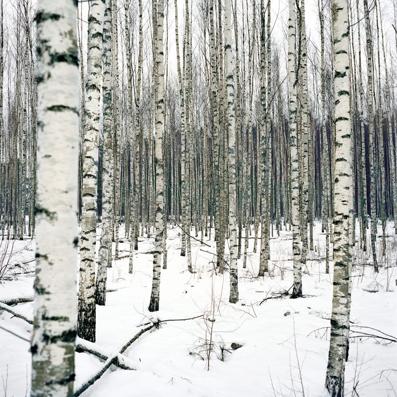 © Jérémie Jung - Image from the Setomaa, a Kingdom on the Edge photography project