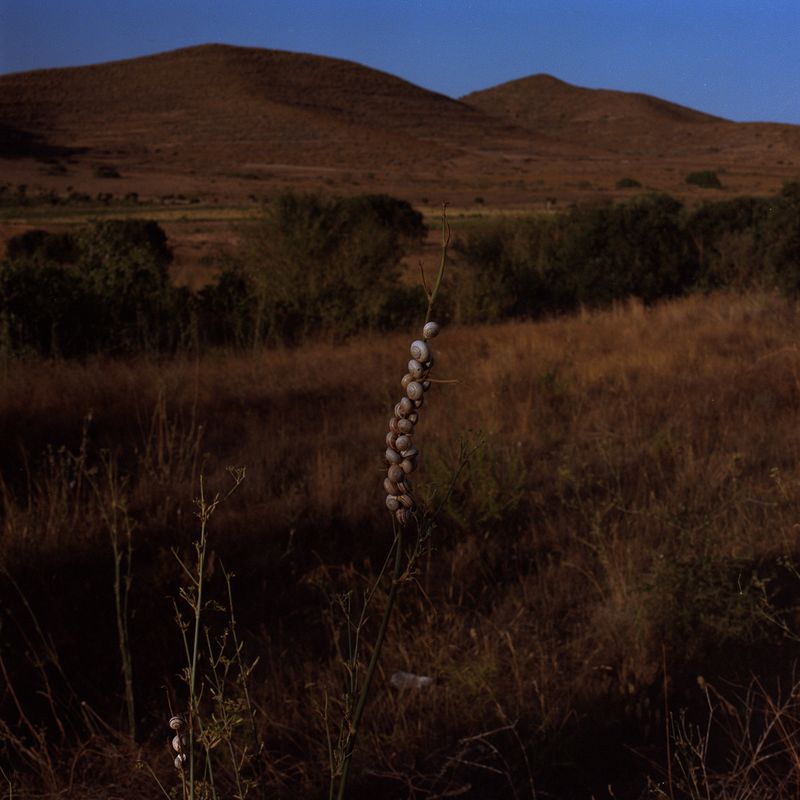 © Felipe Abreu - Image from the Lost in the Paradise photography project