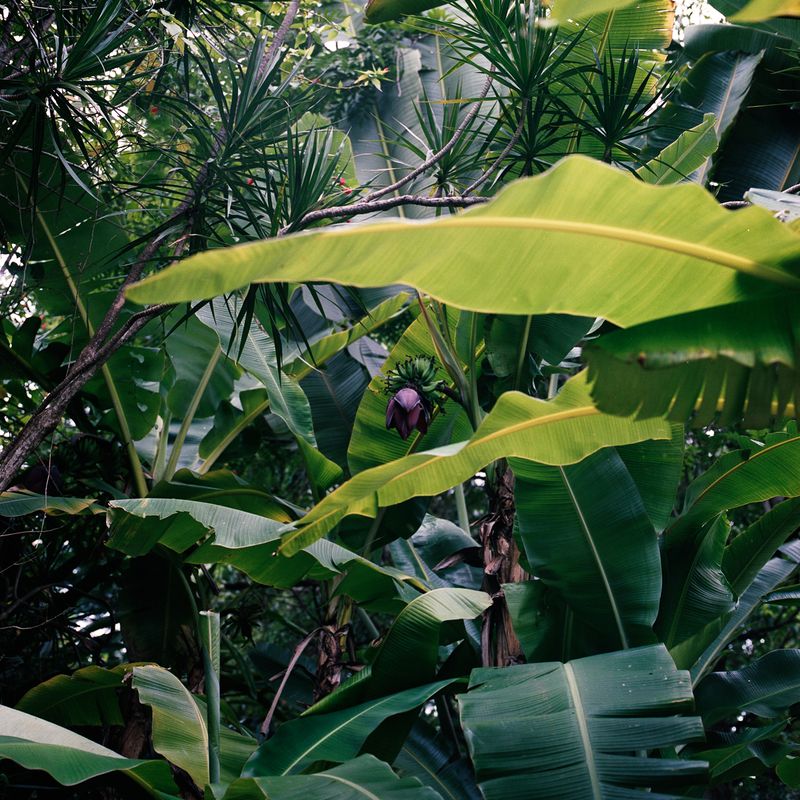 © Felipe Abreu - Image from the Lost in the Paradise photography project