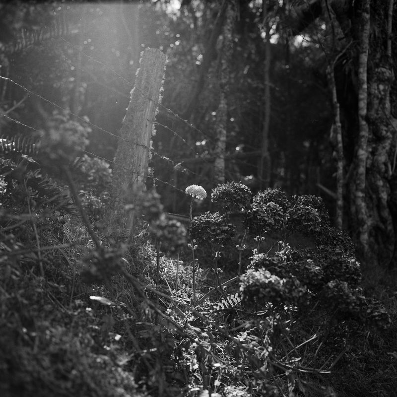 © Felipe Abreu - Image from the Lost in the Paradise photography project