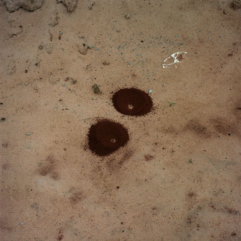 © Felipe Abreu - Image from the Lost in the Paradise photography project