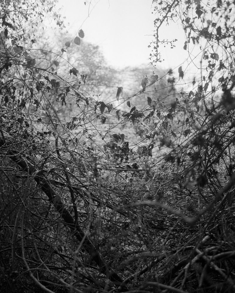 © Felipe Abreu - Image from the Lost in the Paradise photography project