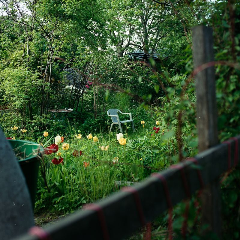 © Felipe Abreu - Image from the Lost in the Paradise photography project