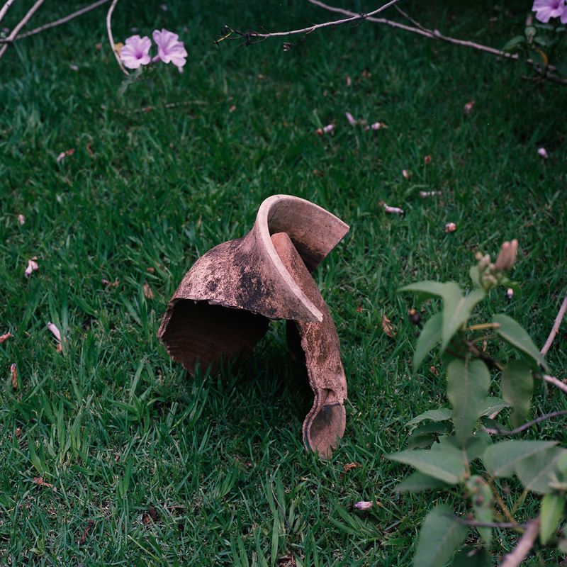 © Felipe Abreu - Image from the Lost in the Paradise photography project