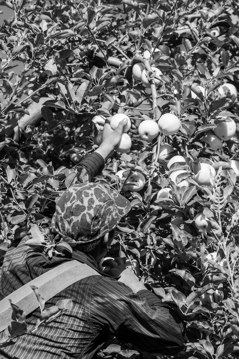 © Hector Emanuel - Image from the AMERICANXS photography project