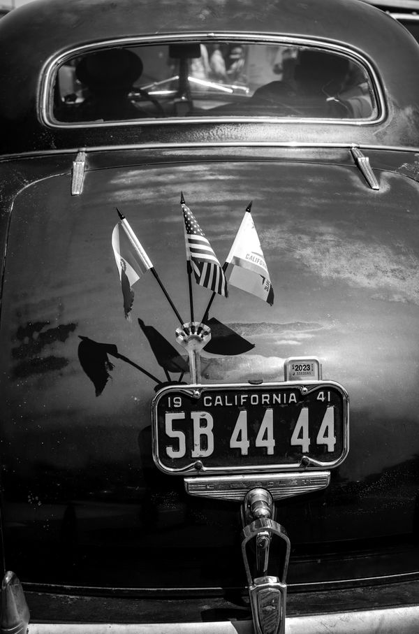 © Hector Emanuel - Image from the AMERICANXS photography project