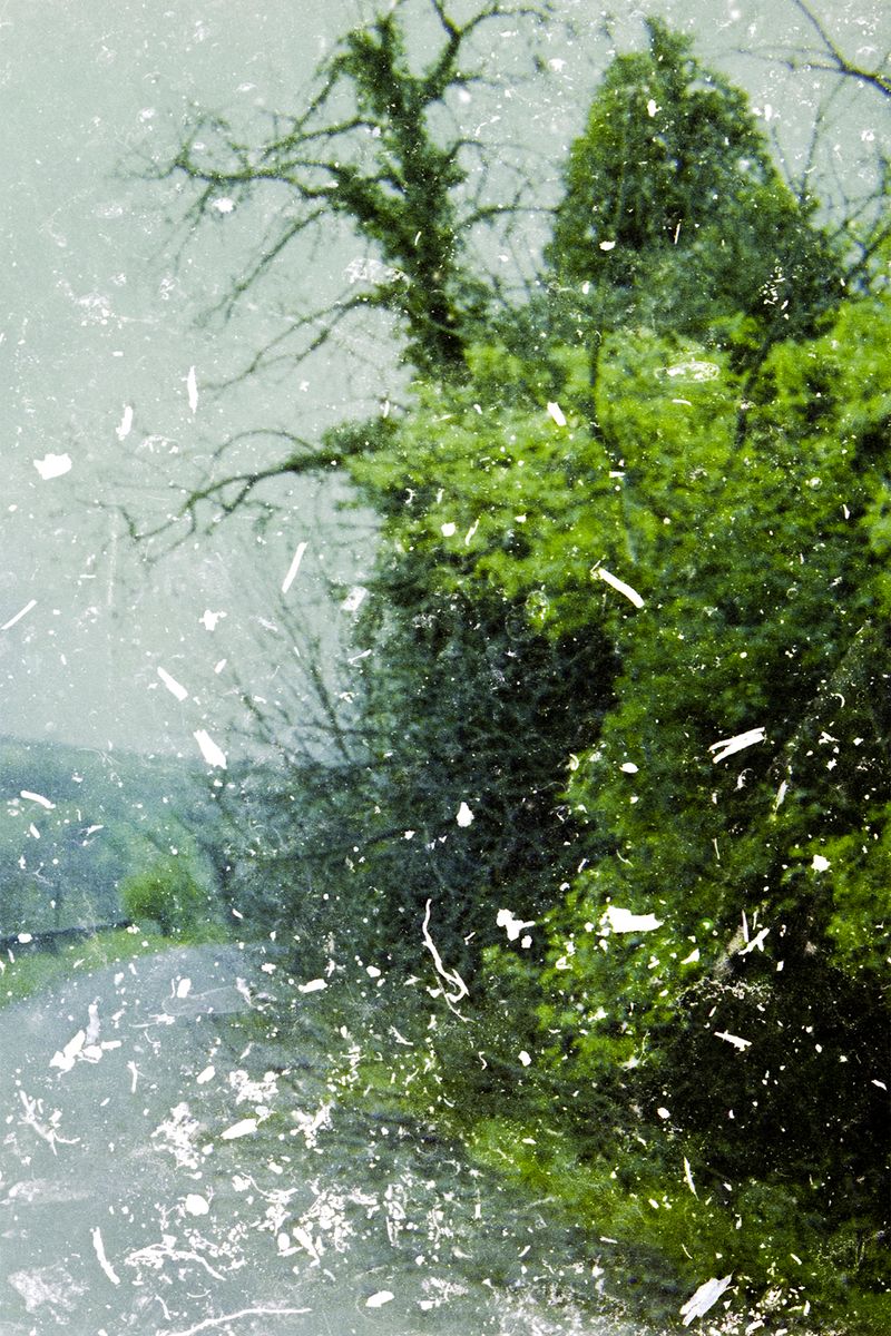 © Valeria Laureano - STORY N.2