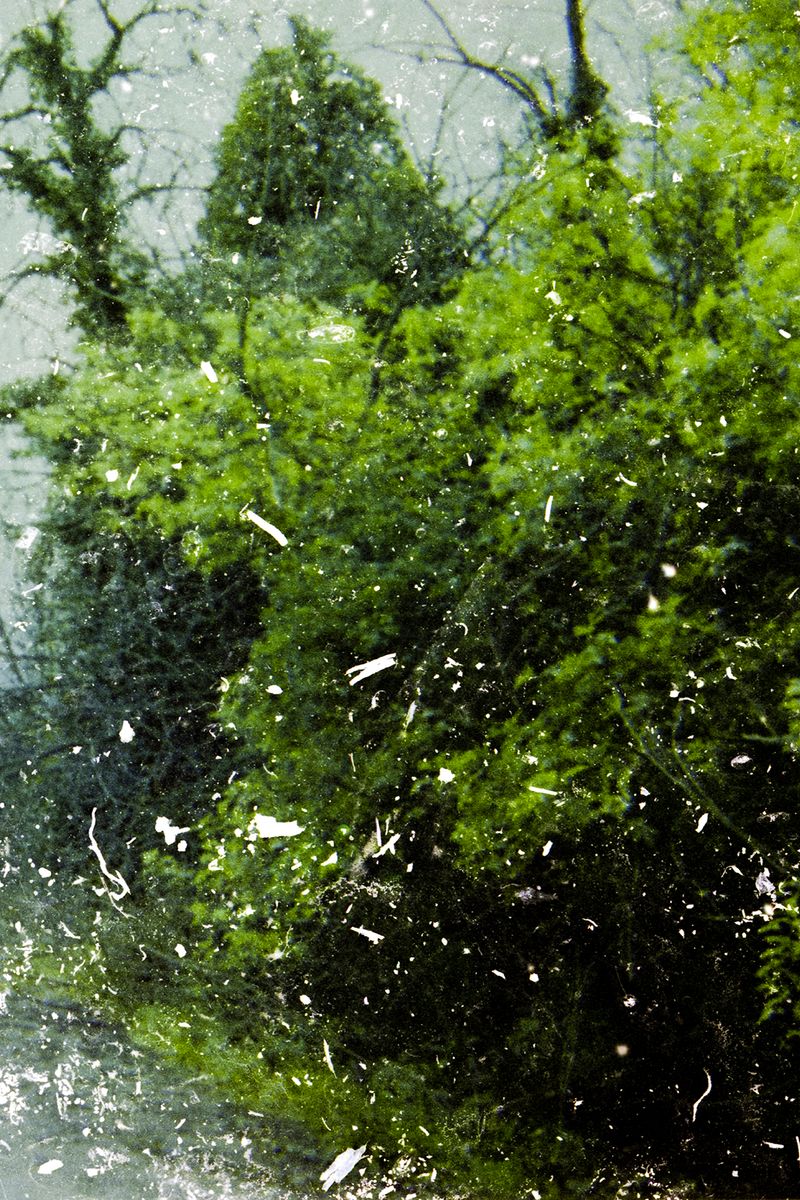 © Valeria Laureano - STORY N.1