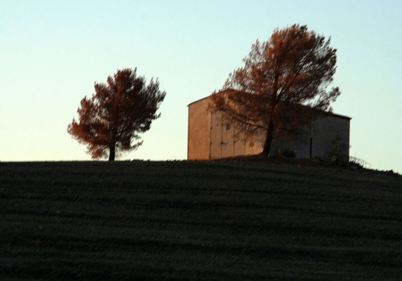 © Matteo Falcone - Image from the Human Bins photography project