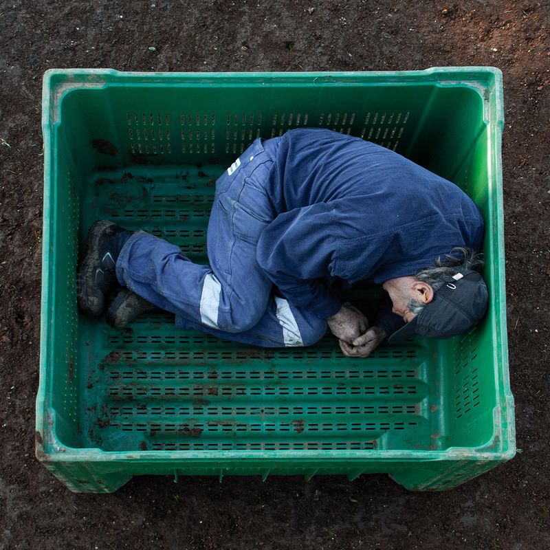 © Matteo Falcone - Image from the Human Bins photography project