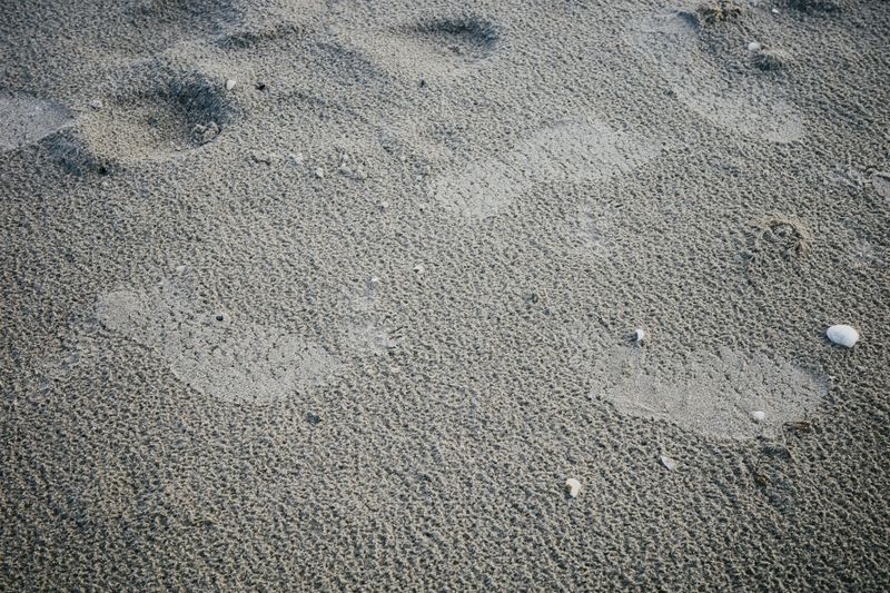 © Cecilie Mengel - Image from the Heatwave photography project