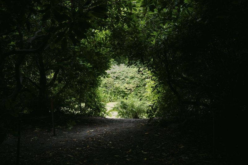 © Cecilie Mengel - Image from the Heatwave photography project
