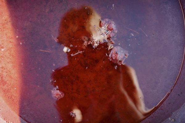 © Cecilie Mengel - Image from the Heatwave photography project