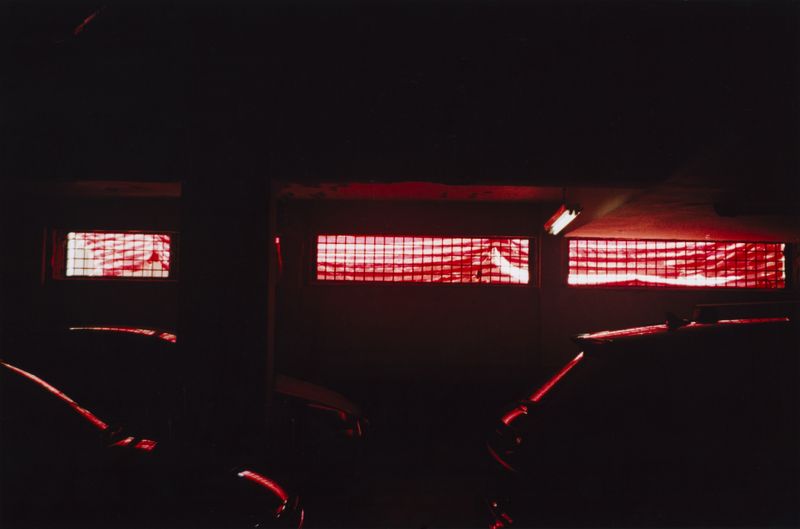 © Cecilie Mengel - Image from the Rain In Paradise photography project