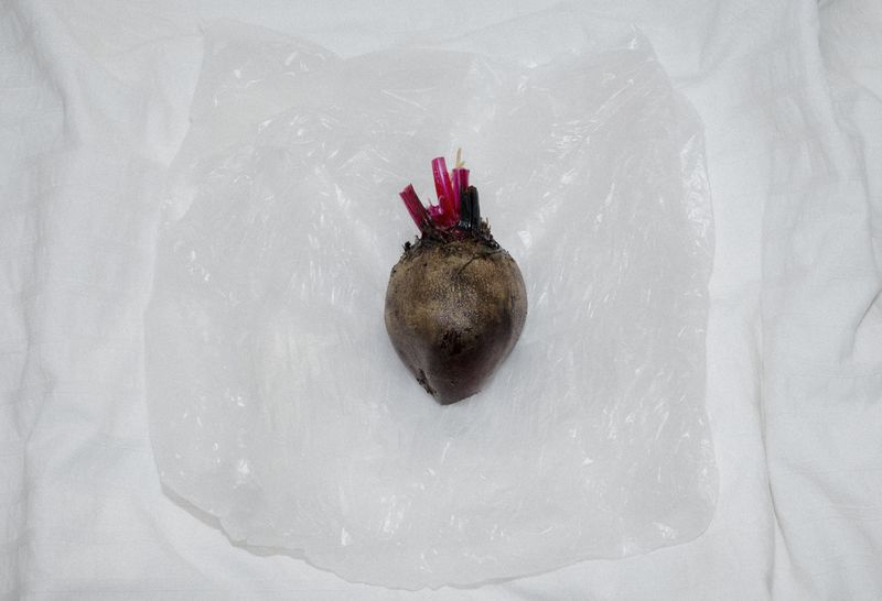 © Cecilie Mengel - Souvenir