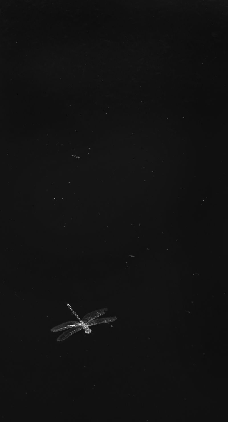 © huber.huber - Image from the Weil ich träume, bin ich nicht. (Because I dream, I am not.) photography project