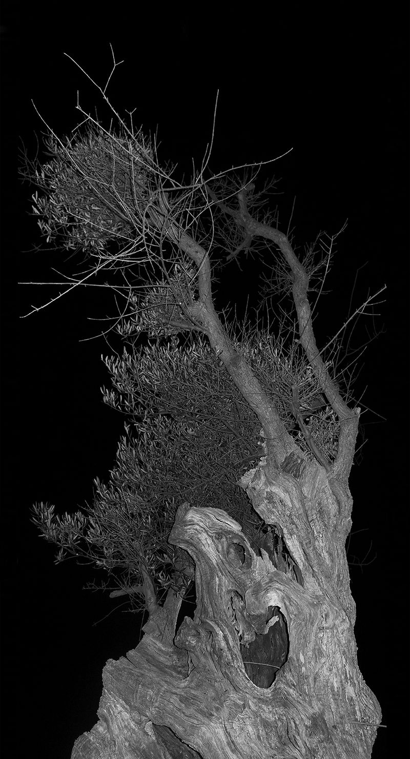 © huber.huber - Image from the Weil ich träume, bin ich nicht. (Because I dream, I am not.) photography project