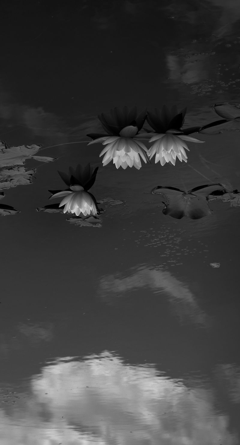 © huber.huber - Image from the Weil ich träume, bin ich nicht. (Because I dream, I am not.) photography project