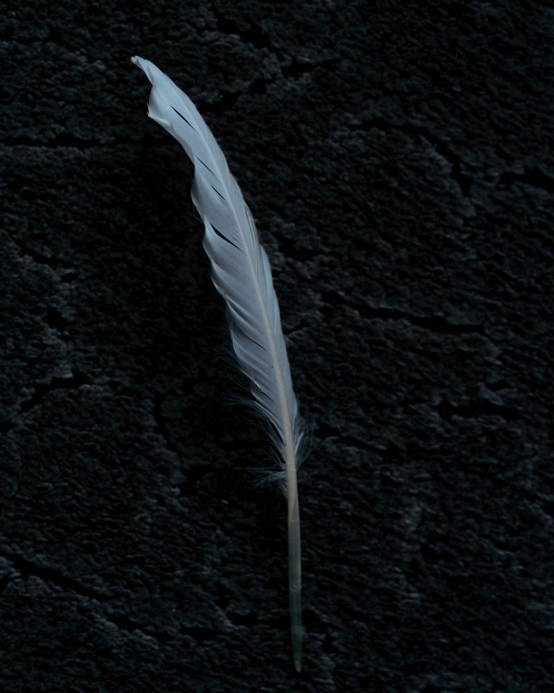 © Matej Jurčević - Image from the Silent Fleeting Sorrows photography project