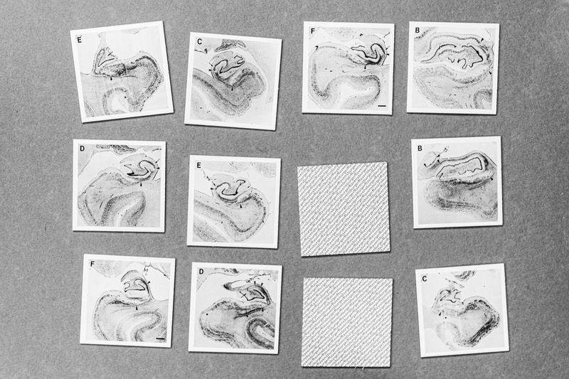 © Alessandro Mazzola - Image from the H.M. photography project