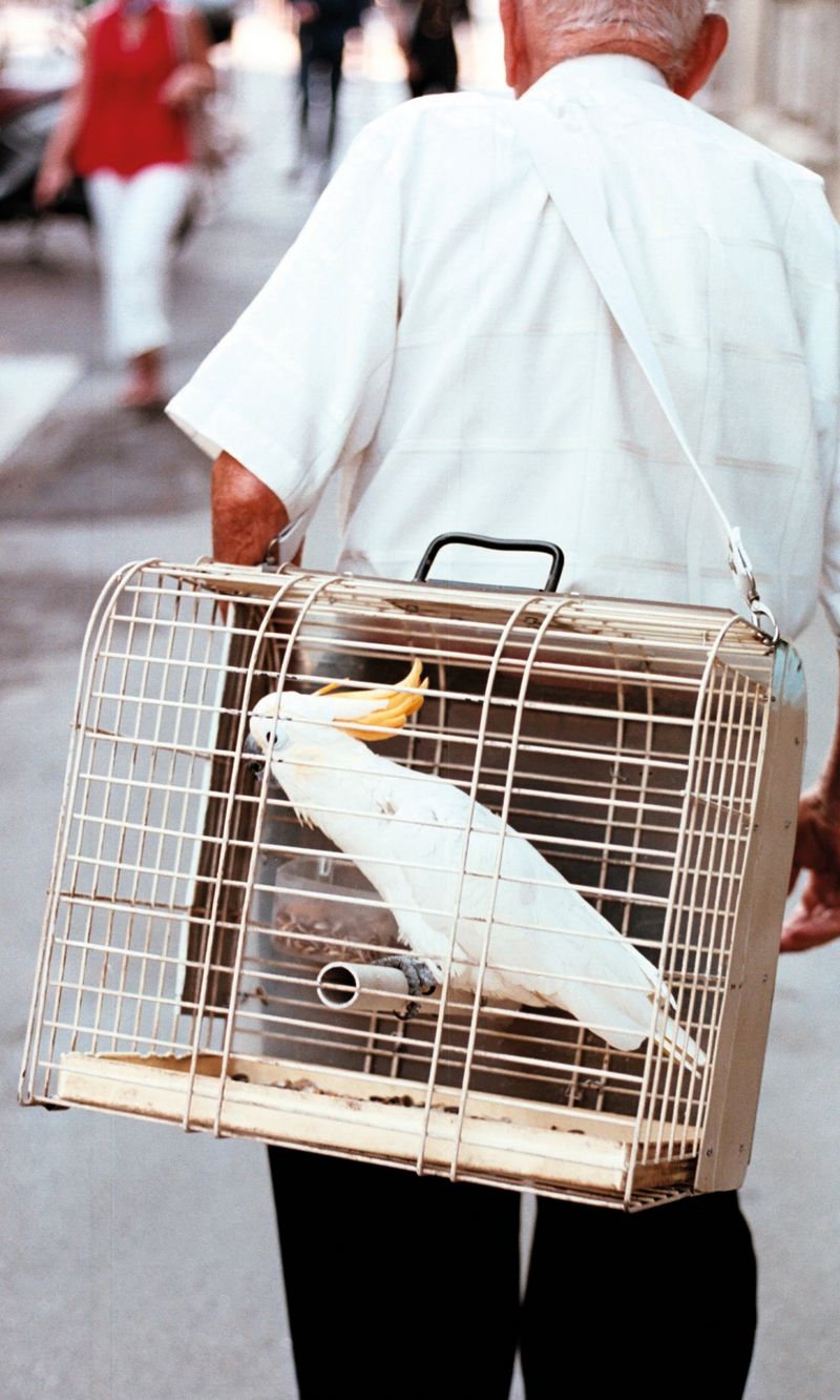 © Alessandro Mazzola - Image from the Today is all my tomorrows photography project