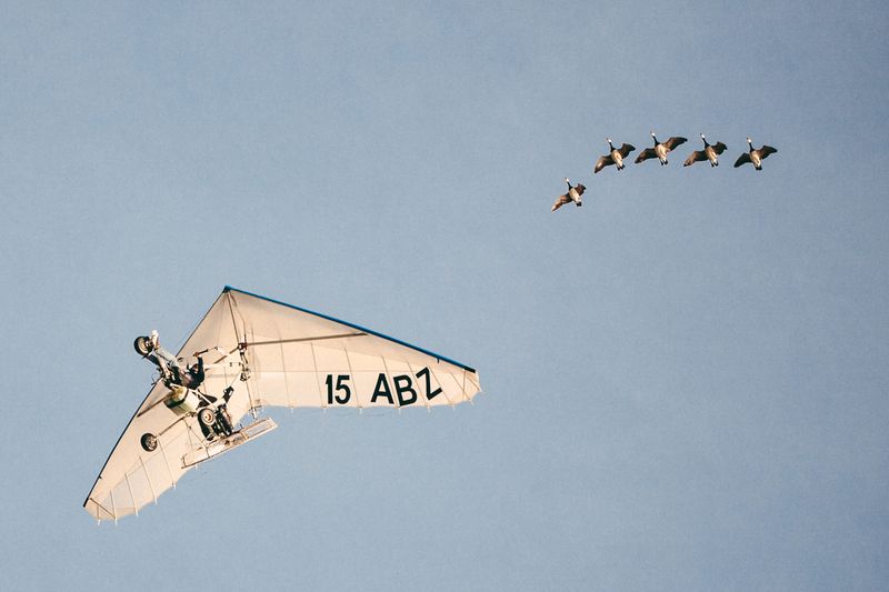 © Francesca Todde - Image from the TransHumance photography project