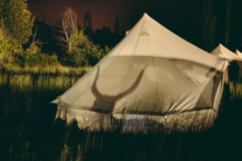 © Francesca Todde - Image from the TransHumance photography project