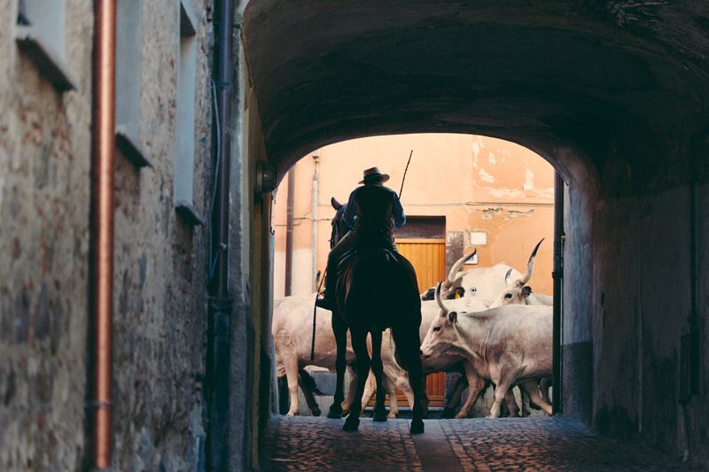 © Francesca Todde - Image from the TransHumance photography project