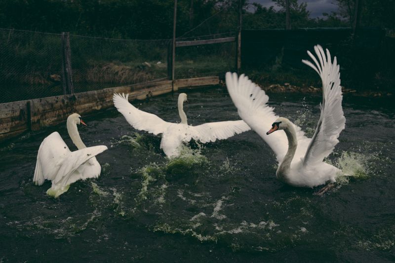 © Francesca Todde - Image from the A Sensitive Education photography project