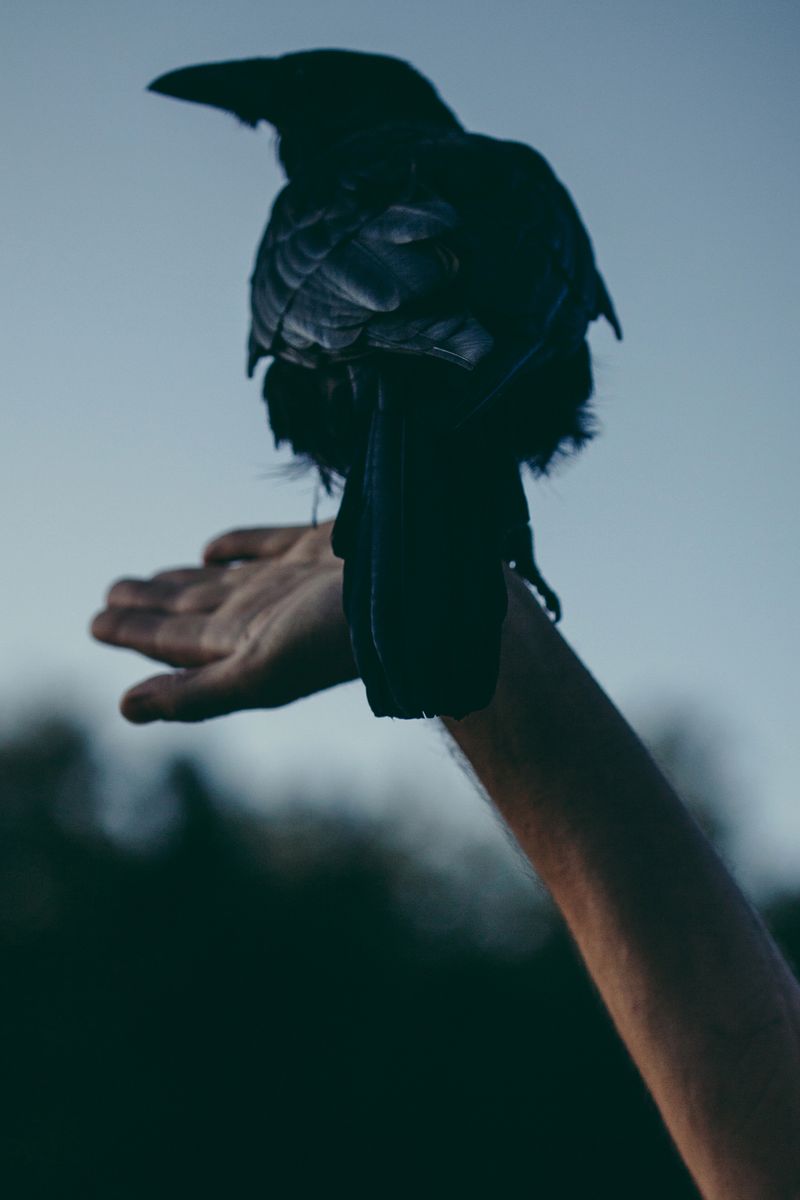 © Francesca Todde - Image from the A Sensitive Education photography project