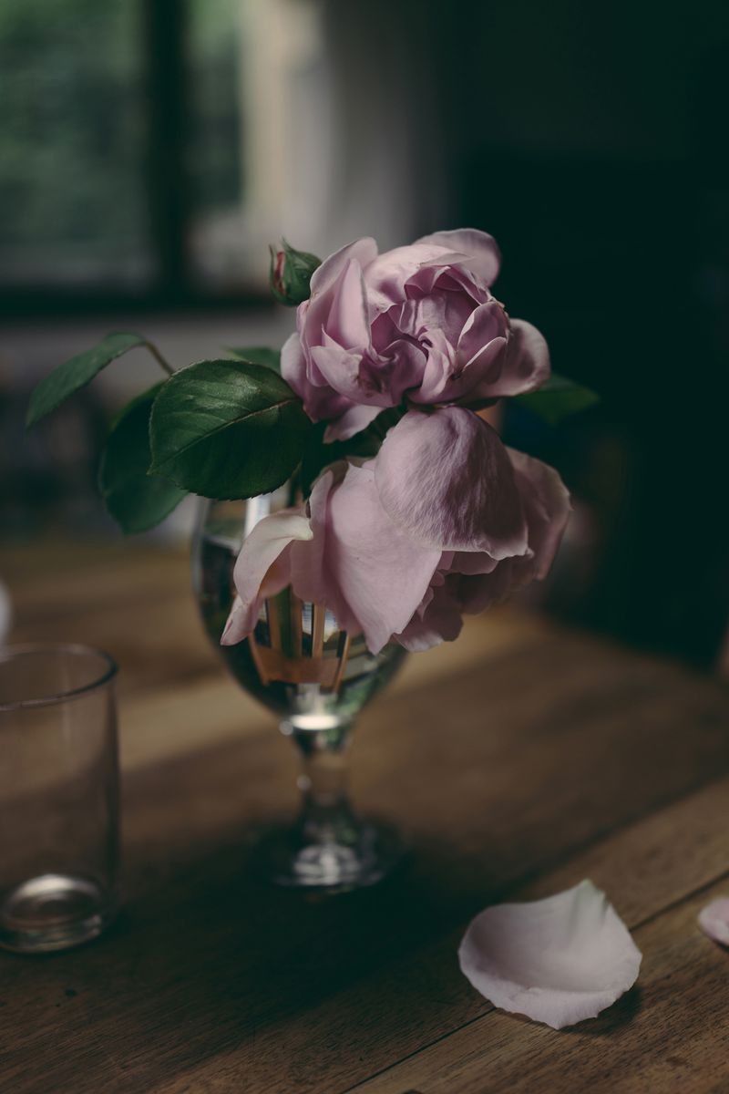 © Francesca Todde - Image from the A Sensitive Education photography project