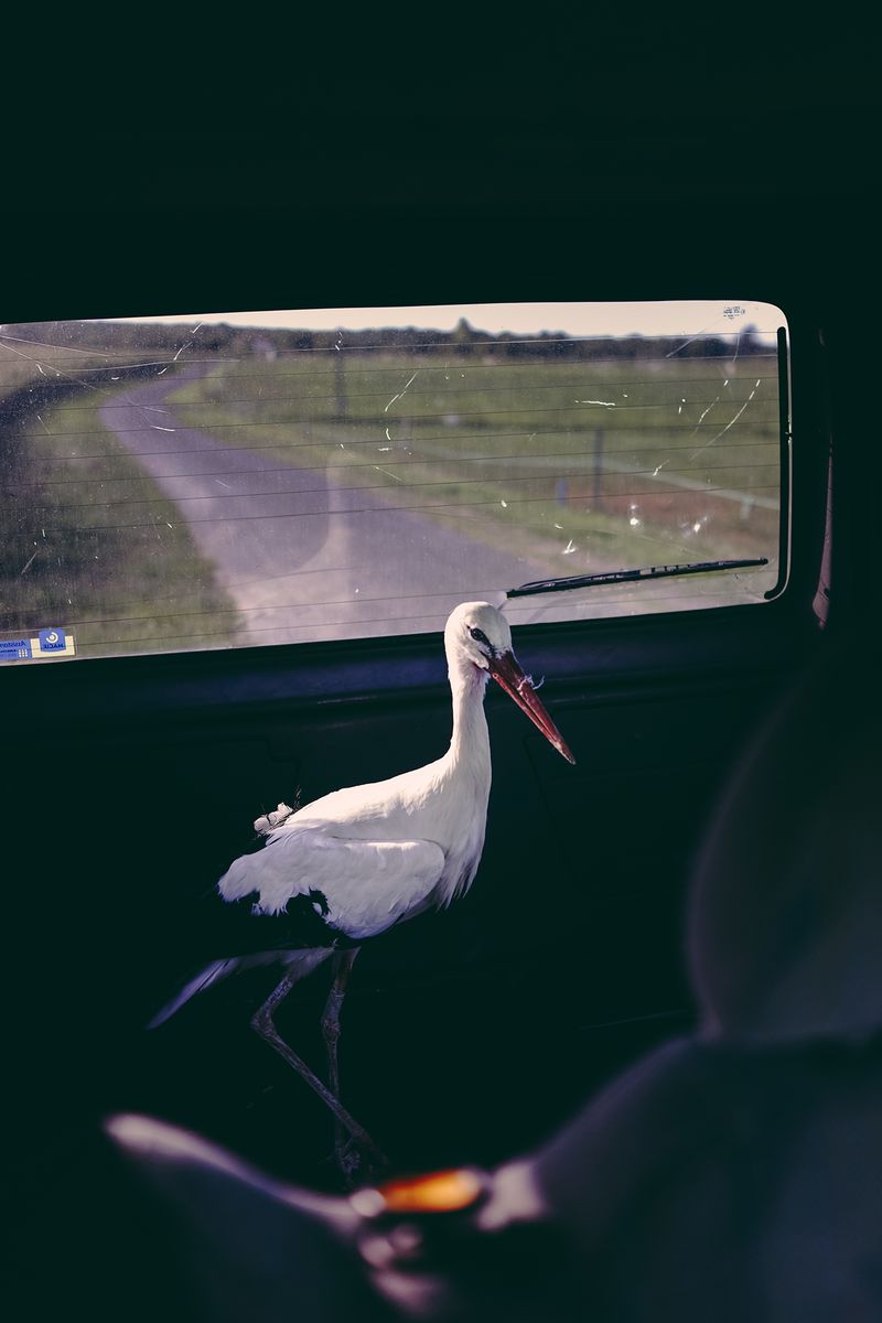 © Francesca Todde - Image from the A Sensitive Education photography project