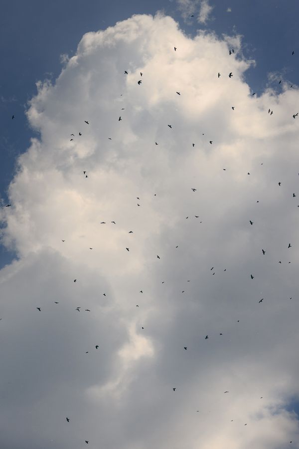 © Francesca Todde - Image from the A Sensitive Education photography project