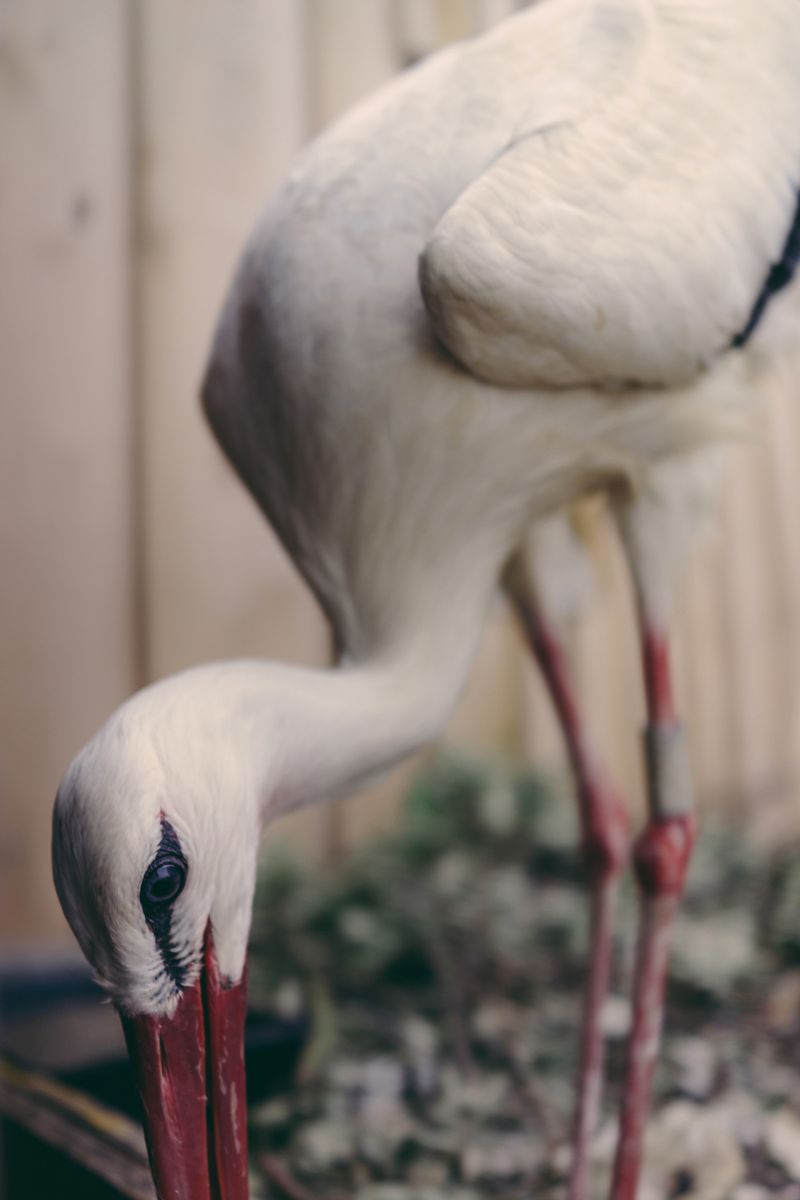 © Francesca Todde - Image from the A Sensitive Education photography project