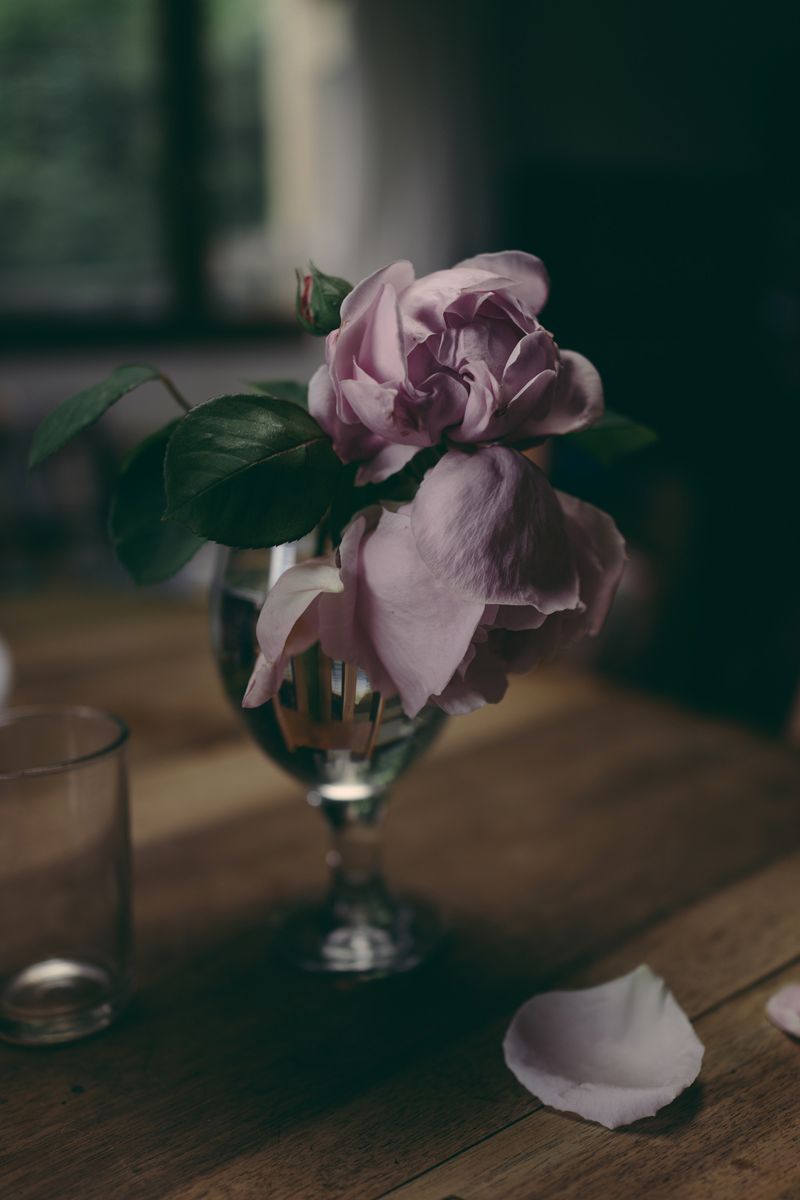 © Francesca Todde - Image from the Tristan_A Sensitive Education photography project