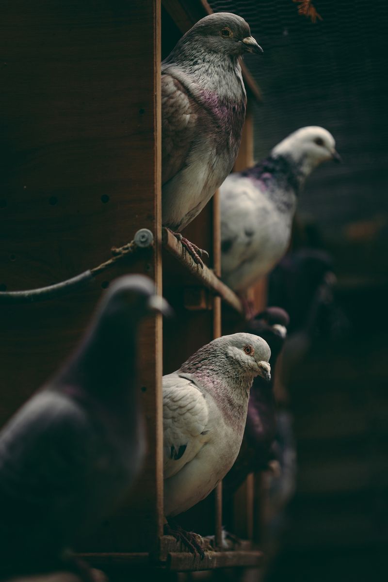 © Francesca Todde - Image from the Tristan_A Sensitive Education photography project