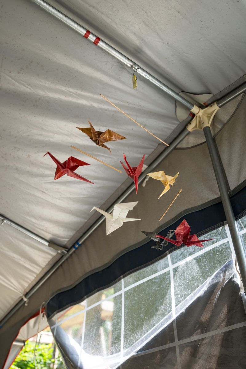 © Francesca Todde - Image from the Tristan_A Sensitive Education photography project