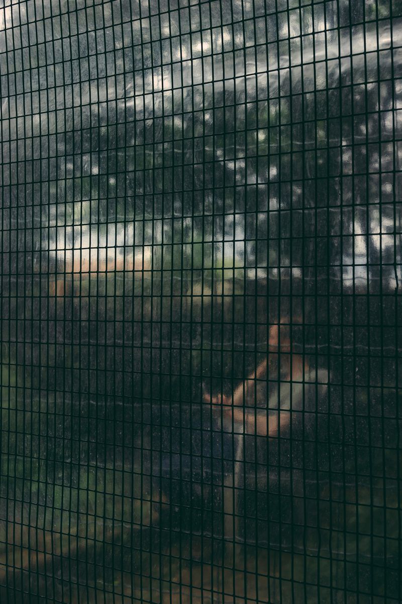 © Francesca Todde - Image from the Tristan_A Sensitive Education photography project